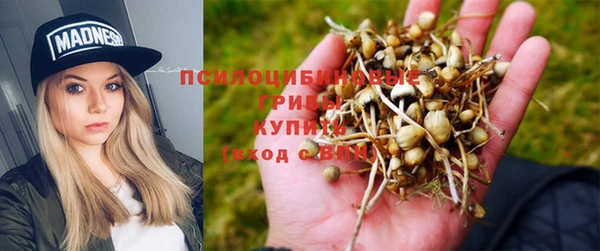 мяу мяу мука Зеленокумск
